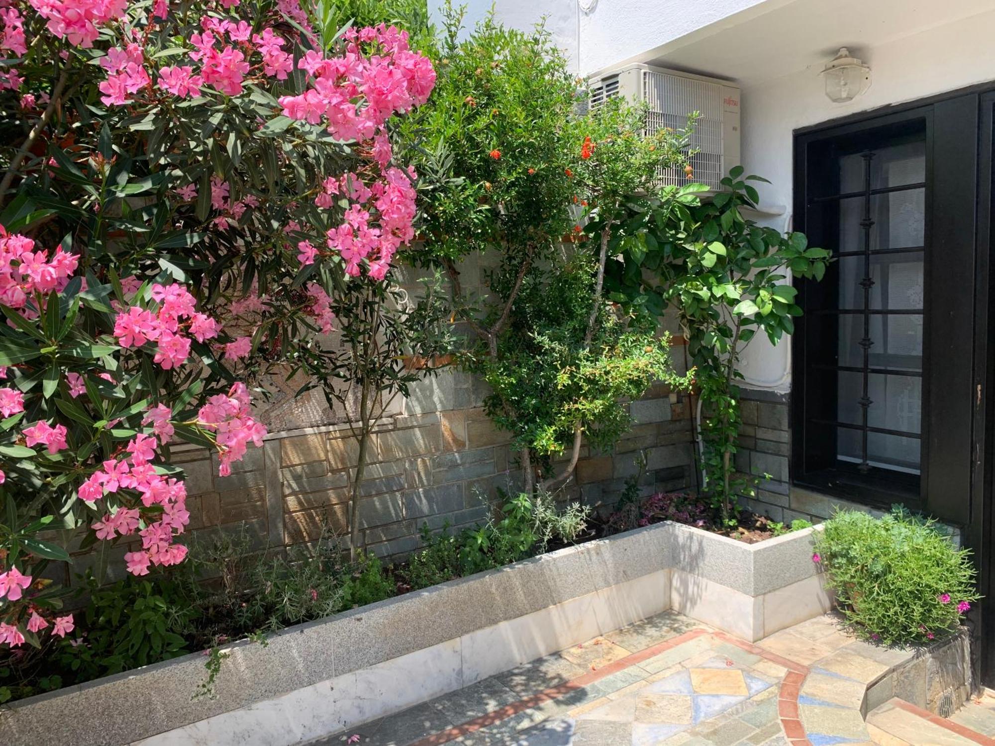 Gemuetliches Appartement In Ano Poli Thessaloniki Buitenkant foto
